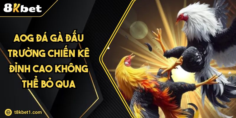 AOG Đá Gà Đấu Trường Chiến Kê Đỉnh Cao Không Thể Bỏ Qua